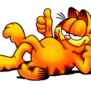 Garfield227