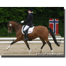 kappersvrouw