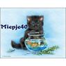 Miepje40