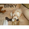 binky2010