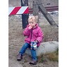 renie2008