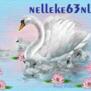 nelleke63nl