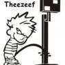 Theezeef
