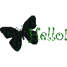 struggle8