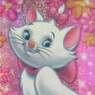 BABYR