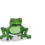 froggy51