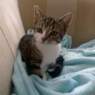 sanne022