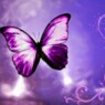 rianne2204