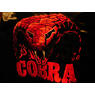 TheCobra1969