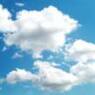 wolkjuhhh