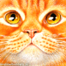 cat59