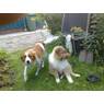 renate55