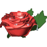 flower73