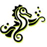 Zeepaardje28