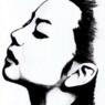 Salvadora1