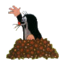 dd25