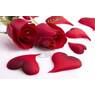 gineke123