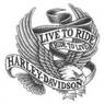hddriver33