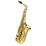 saxgek