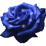 flower1960