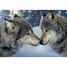 Wolfheart