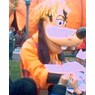 goofy25