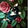 Windfox