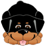 Mrswallie