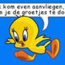 manuela13nl