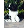 Lady230508