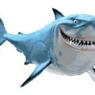 sharkywoman