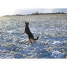 Sanne84