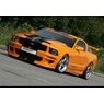 fmustang