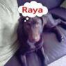 raya007