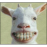 miepie77