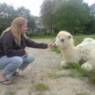 Mrseveline