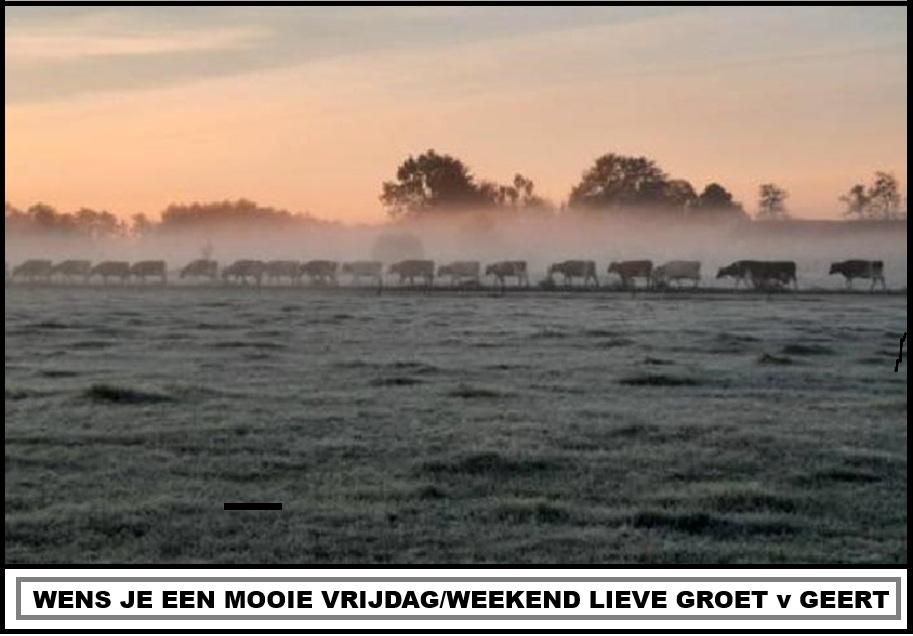 vrijdag groet