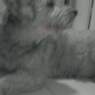 aiiloveyou14