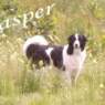 Buster41