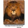 lion67