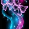 butterfly60