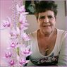 wilma51nl