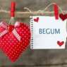BegumOzd