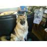 perry1965