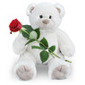 toos45