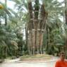 rojales2009