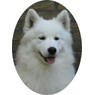 huskamoa