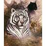tijger
