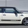 cooper2010