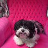 maite2009